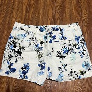 Loft shorts